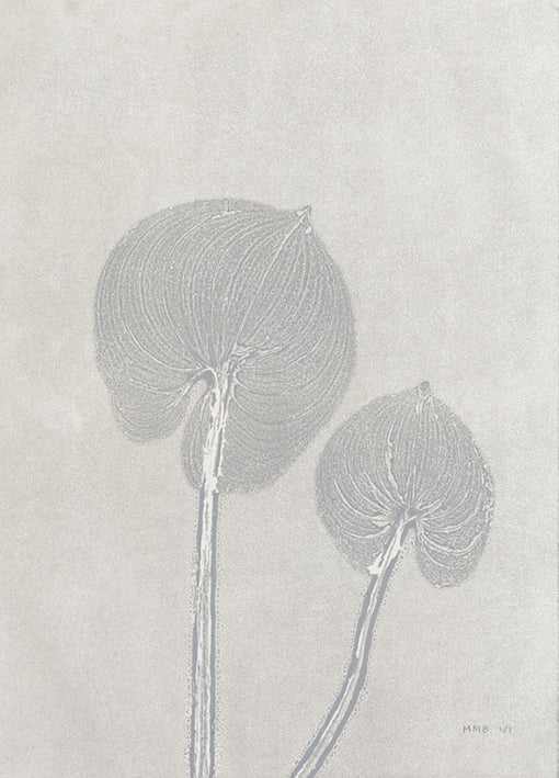 85552 Grey Pair, by Briggs, available in multiple sizes