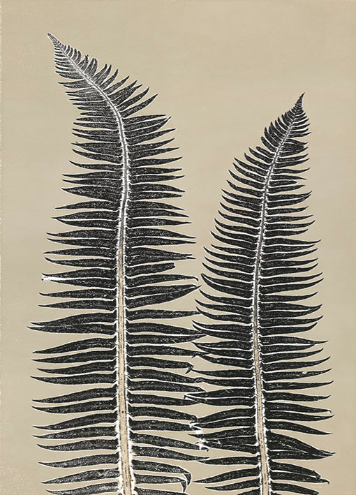 91024 Cocoa Ferns, by Briggs, available in multiple sizes - Chamton
