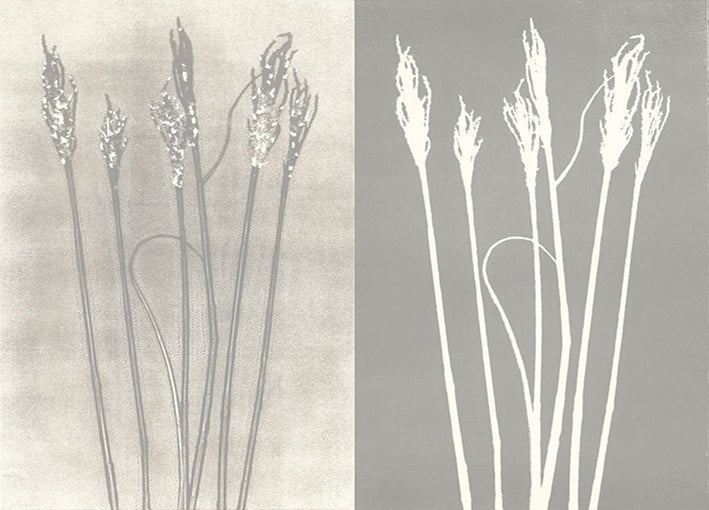 93007 Untitled, by Briggs, available in multiple sizes