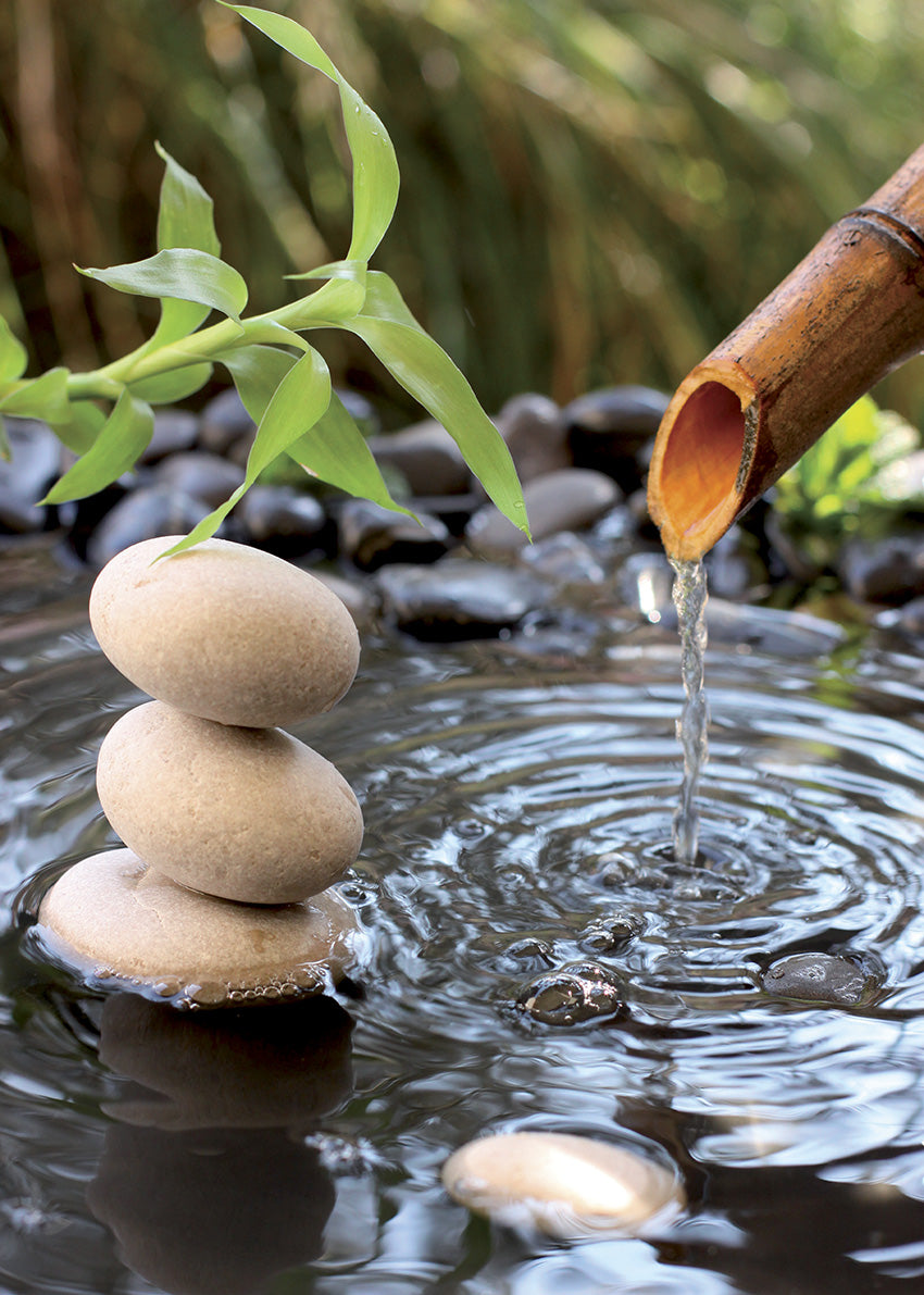 C220 Bamboo Paradise, available in multiple sizes