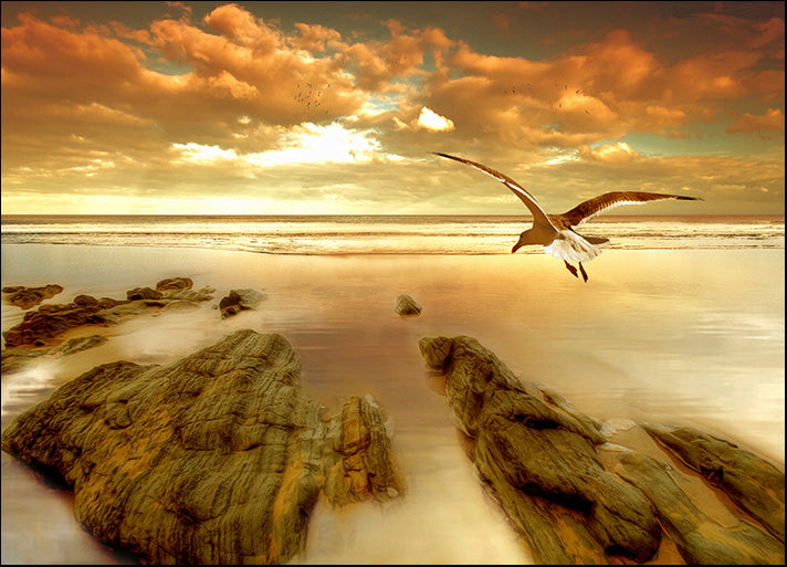 CARCAS93347 Soft Sunrise on the Beach 4, by Carlos Casamayor, available in multiple sizes