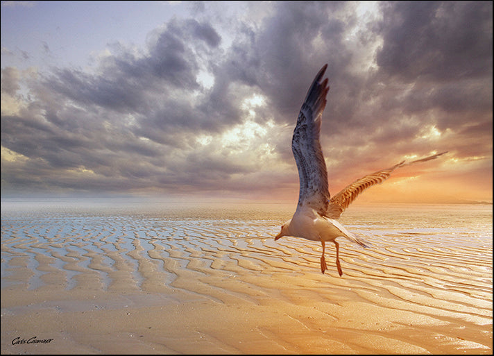 CARCAS93348 Soft Sunrise on the Beach 5, by Carlos Casamayor, available in multiple sizes - Chamton