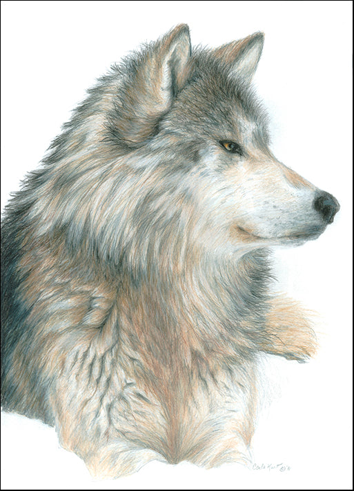 CARKUR104031 Wolf, by Carla Kurt, available in multiple sizes