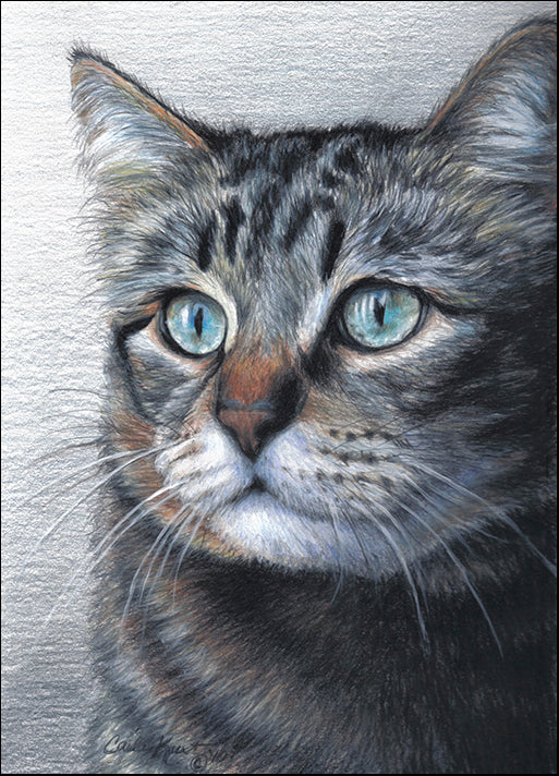 CARKUR98316 Cat Potrait, by Carla Kurt, available in multiple sizes - Chamton