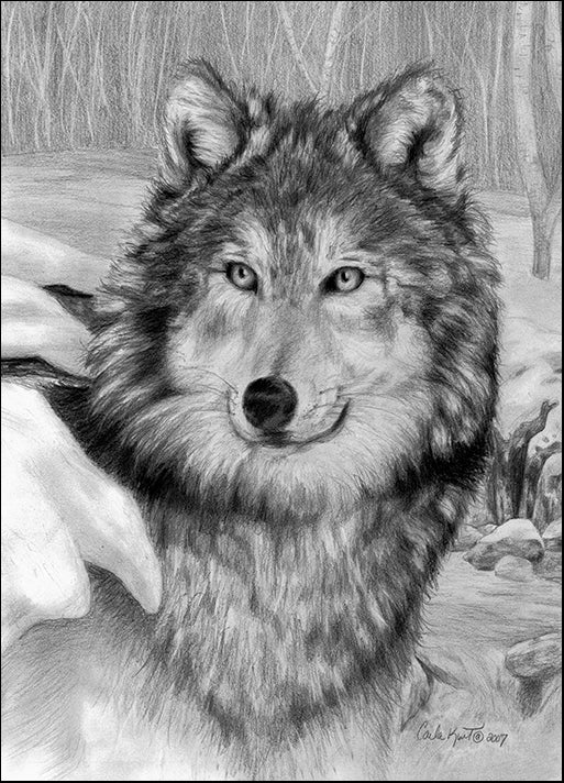 CARKUR98324 Playful Eyes, by Carla Kurt, available in multiple sizes