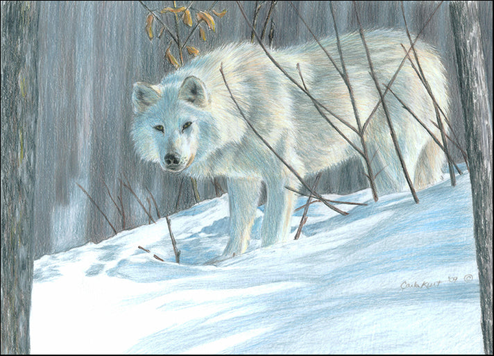 CARKUR98332 Winter Wolf, by Carla Kurt, available in multiple sizes
