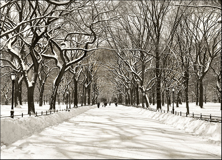 CHRBLI110990 Poets Walk, by Chris Bliss, available in multiple sizes