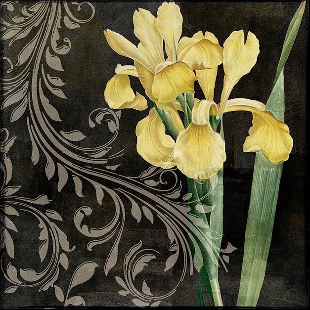 COLBAK111647 Ode to Yellow II, by Color Bakery, available in multiple sizes - Chamton