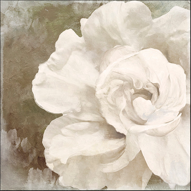 COLBAK111727 Petals Impasto II, by Color Bakery, available in multiple sizes