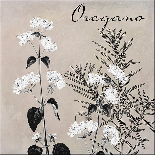 COLBAK112292 Flowering Herbs II, by Color Bakery, available in multiple sizes