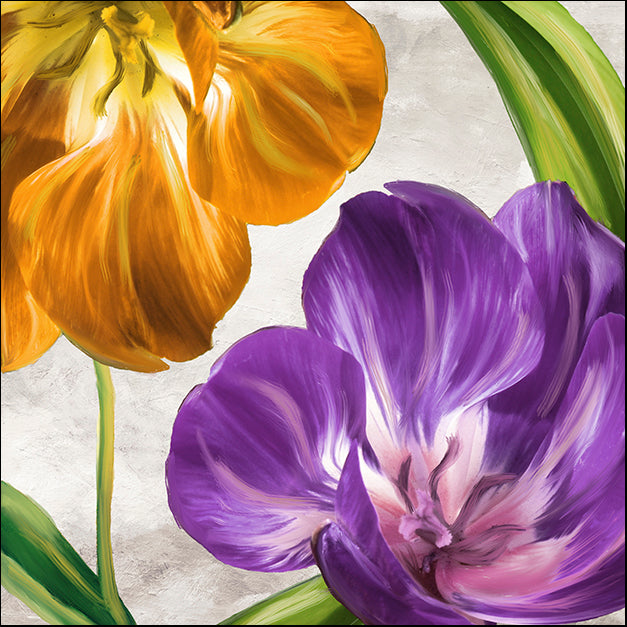 COLBAK114097 Open Arms II, by Color Bakery, available in multiple sizes