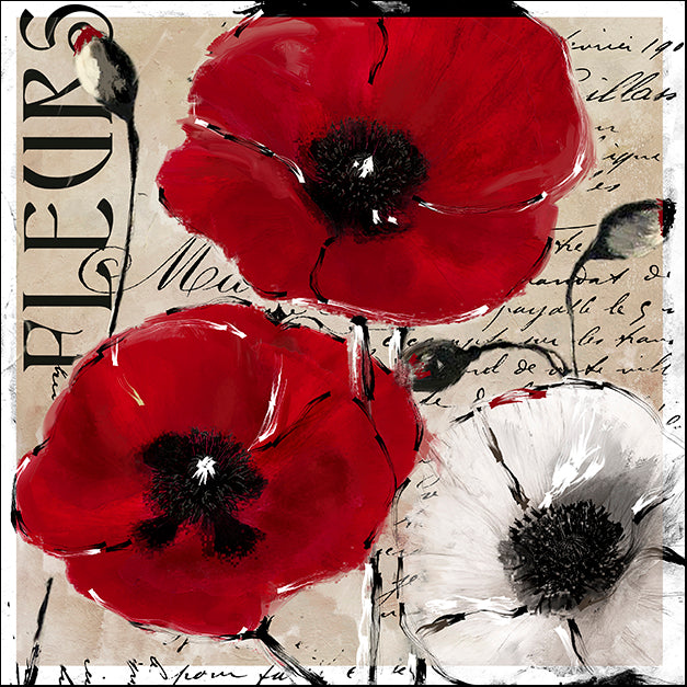 COLBAK125727 Rouge One, by Color Bakery, available in multiple sizes - Chamton