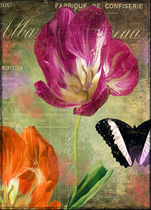 COLBAK135890 Aubergine Peony, by Color Bakery, available in multiple sizes