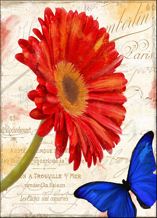 COLBAK135892 Gerbera Daisy, by Color Bakery, available in multiple sizes