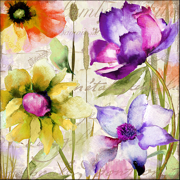 COLBAK136588 Afterglow II, by Color Bakery, available in multiple sizes