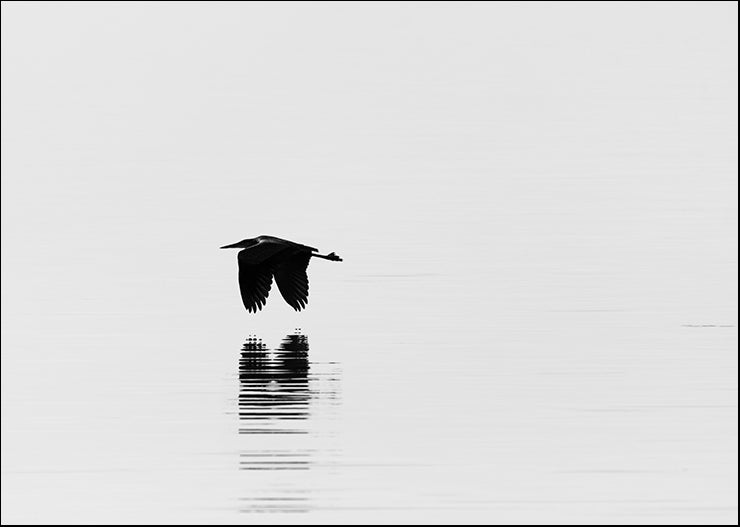 CRO-1838 Flight by Nancy Crowell, available in multiple sizes