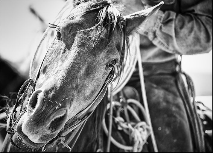 DANBAL112679 Soul of the West, by Dan Ballard, available in multiple sizes - Chamton