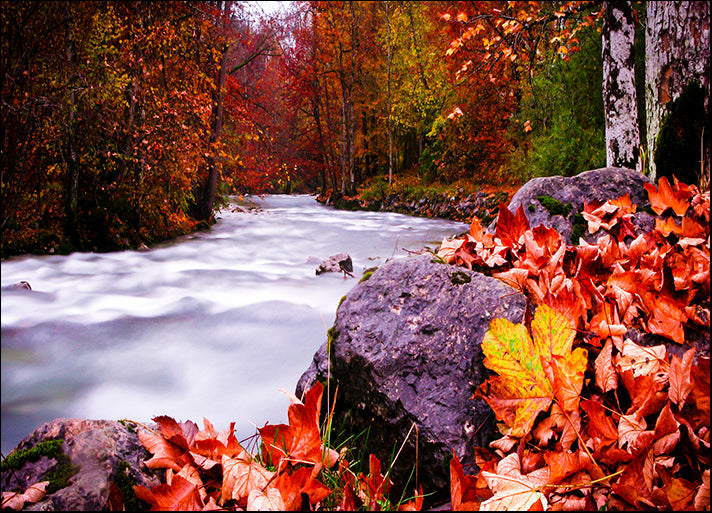 DANBAL112710 Autumn Flow, by Dan Ballard, available in multiple sizes