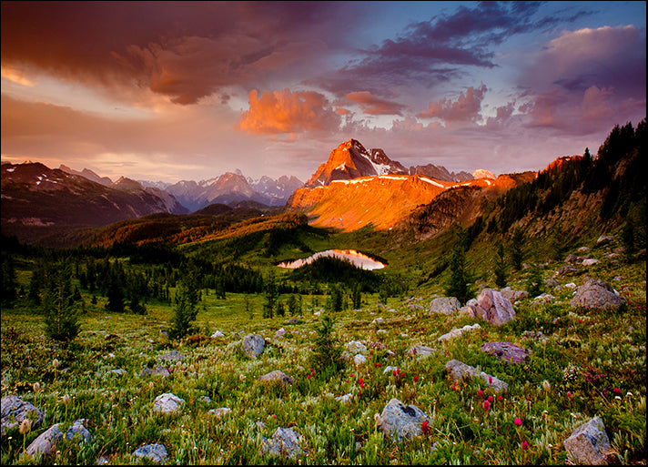 DANBAL112730 Emerging Glory, by Dan Ballard, available in multiple sizes