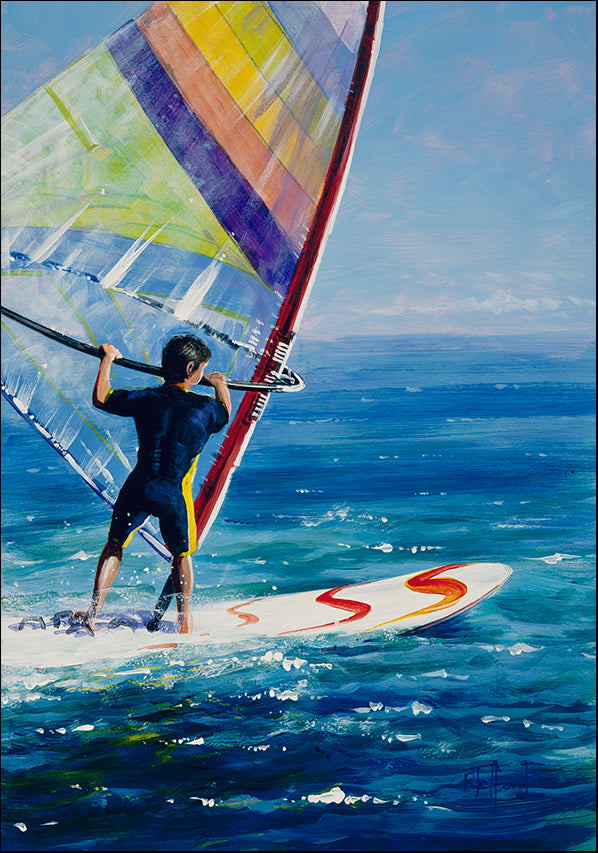 DDFA 6098 Wind Surfing, available in multiple sizes