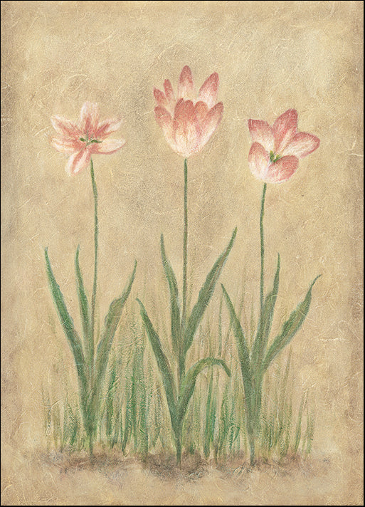 DEBLAK17680 D L0105, by Debra Lake, available in multiple sizes