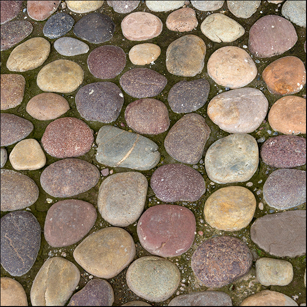 DESLAN128711 2088600, by DesignPics - Landscapes and Nature, available in multiple sizes