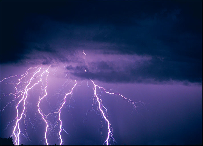 DESLAN134462 2738, by DesignPics - Landscapes and Nature, available in multiple sizes