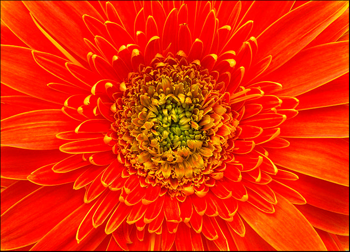 DESLAN134467 4480, by DesignPics - Landscapes and Nature, available in multiple sizes