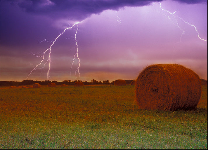 DESLAN135568 756657, by DesignPics - Landscapes and Nature, available in multiple sizes