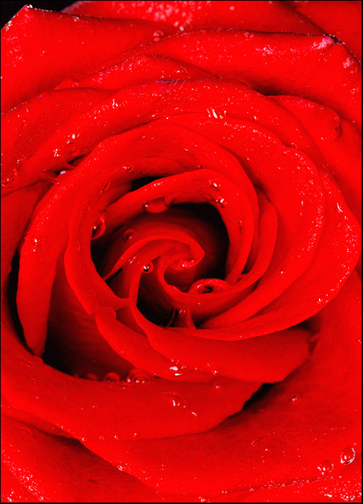 DESLAN135572 78014, by DesignPics - Landscapes and Nature, available in multiple sizes