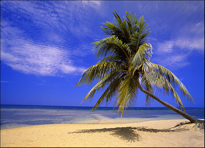 DESLAN135574 87451, by DesignPics - Landscapes and Nature, available in multiple sizes