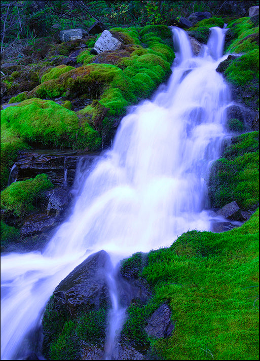 DESLAN136447 1772738, by DesignPics - Landscapes and Nature, available in multiple sizes