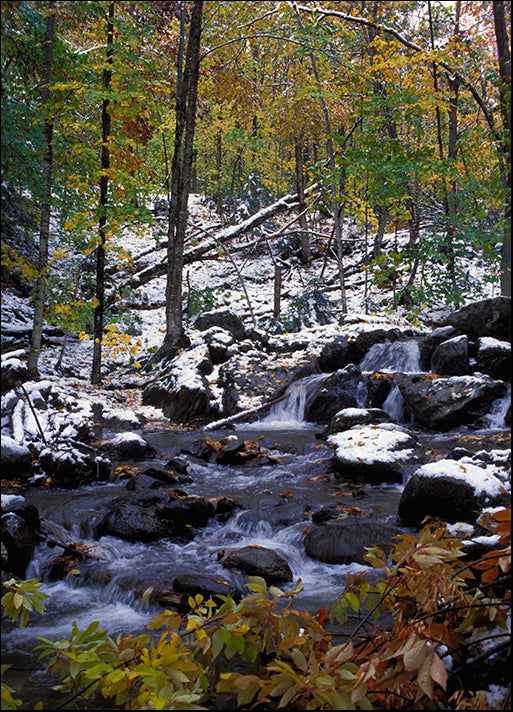 DESLAN136455 1773300, by DesignPics - Landscapes and Nature, available in multiple sizes