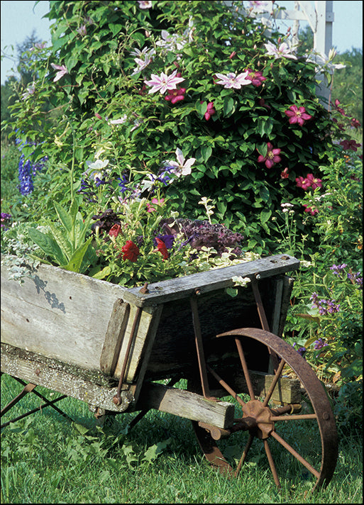 DESLAN136462 1773391, by DesignPics - Landscapes and Nature, available in multiple sizes