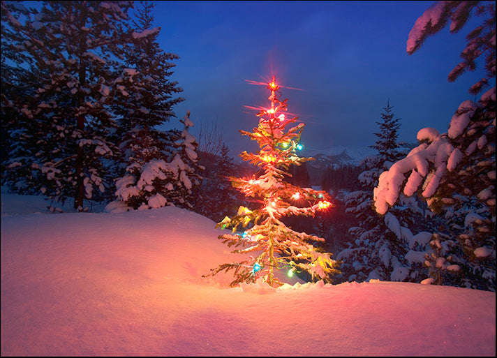 DESLAN136467 1773883, by DesignPics - Landscapes and Nature, available in multiple sizes