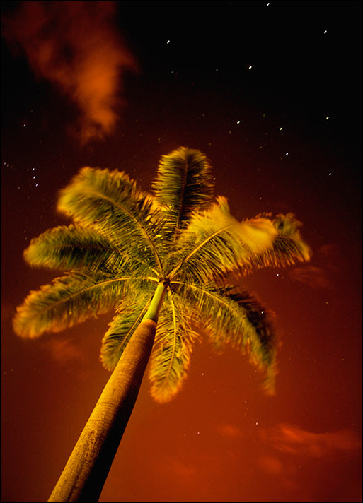 DESLAN136469 1773884, by DesignPics - Landscapes and Nature, available in multiple sizes