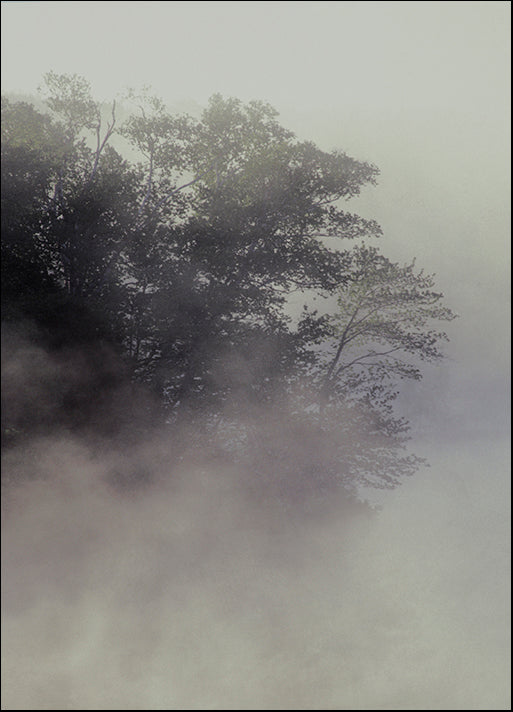 DESLAN136487 1776505, by DesignPics - Landscapes and Nature, available in multiple sizes