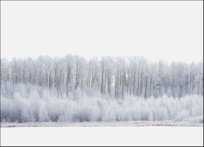 DESLAN136819 1781852, by DesignPics - Landscapes and Nature, available in multiple sizes