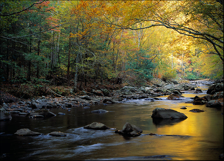 DESLAN136829 1782665, by DesignPics - Landscapes and Nature, available in multiple sizes