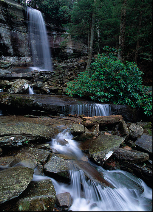 DESLAN136830 1782666, by DesignPics - Landscapes and Nature, available in multiple sizes