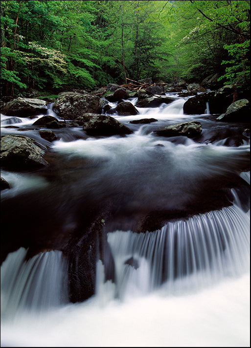 DESLAN136833 1782670, by DesignPics - Landscapes and Nature, available in multiple sizes