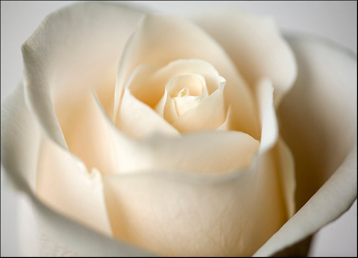 DESLAN136852 1783393, by DesignPics - Landscapes and Nature, available in multiple sizes - Chamton