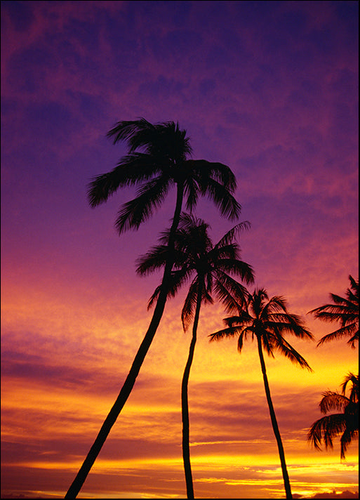 DESLAN136887 1783846, by DesignPics - Landscapes and Nature, available in multiple sizes