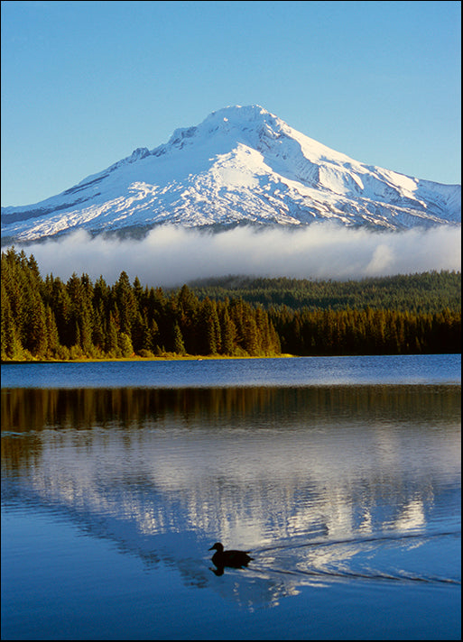 DESLAN136898 1783990, by DesignPics - Landscapes and Nature, available in multiple sizes - Chamton
