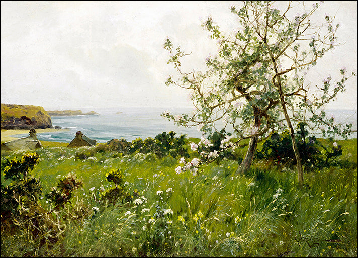 DP-137166 Sea View, by Unknown, available in multiple sizes