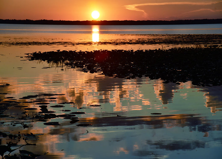 102365 Sunrise Marsh, by De Bord, available in multiple sizes