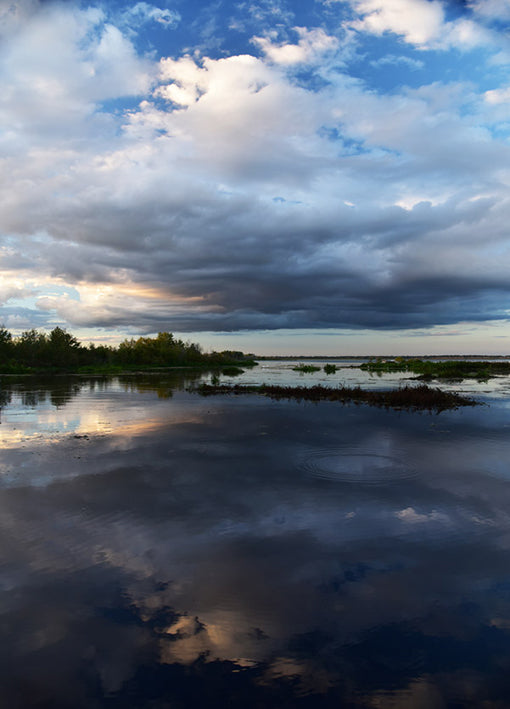 102368 Rain Clouds, by De Bord, available in multiple sizes