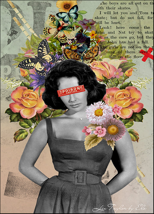 ELOMAR142454 Liz Taylor, by Elo Marc, available in multiple sizes