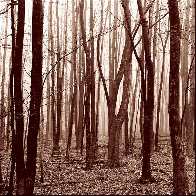 ERICLA83792 Gathering, by Erin Clark, available in multiple sizes