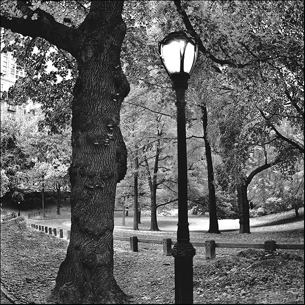 ERICLA83884 A Light in Central Park, by Erin Clark, available in multiple sizes